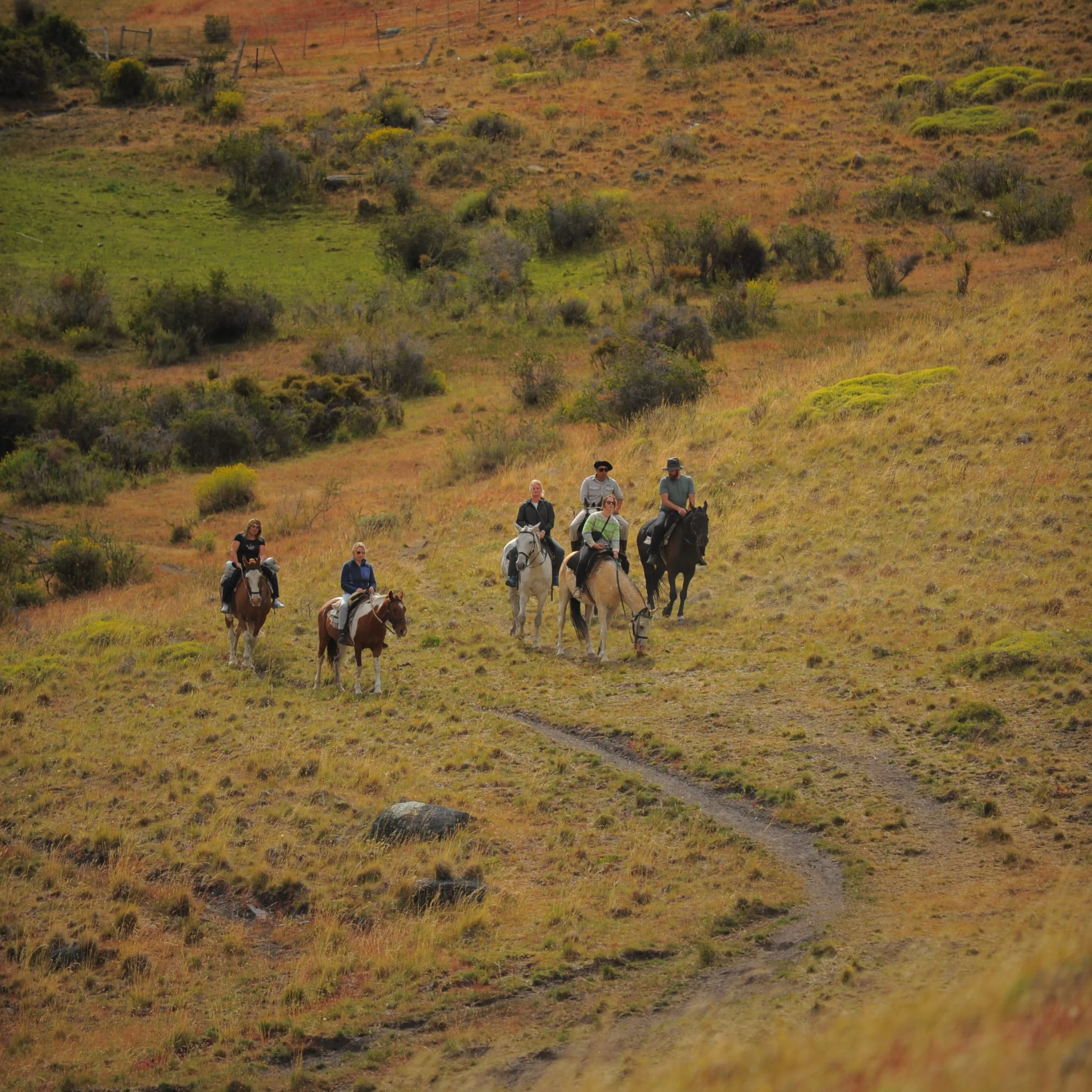 Cerro Frias con Cabalgata